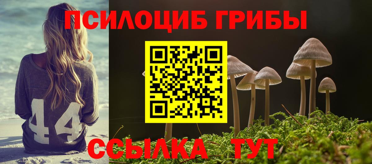 Кисловодск  Галлюциногенные грибы прущие грибы  Вход с VPN 